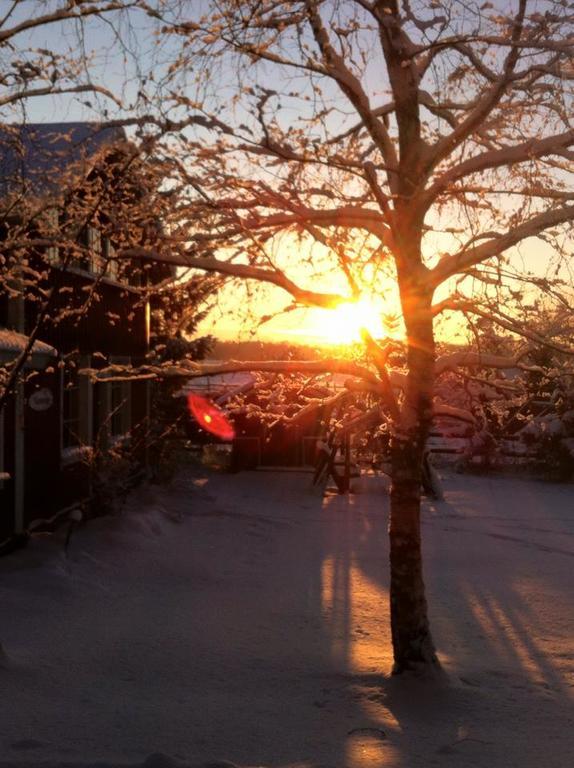 Ilola Maatilamatkailu Valkeakoski Exteriör bild